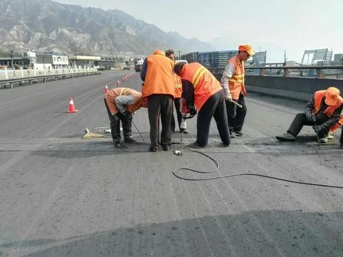 攀枝花道路桥梁病害治理